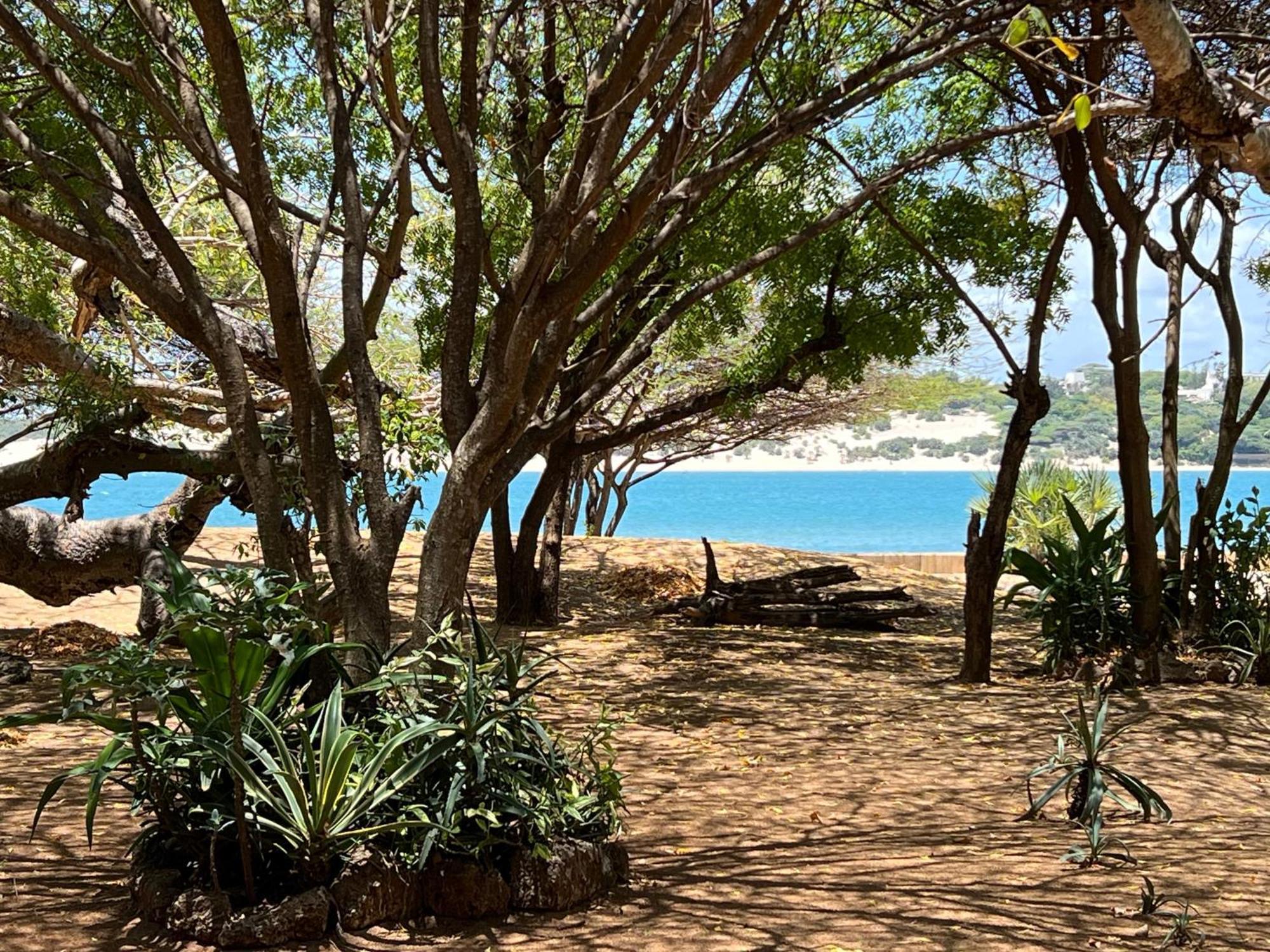 Готель Mangrove House Ламу Екстер'єр фото